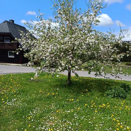 Ferienclub Erlenbruck Lägenhet Hinterzarten